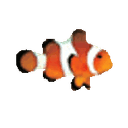 Icon of Clownfish Translator