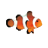 FavIcon of Clownfish Translator