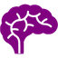 Icon of Purple Brain