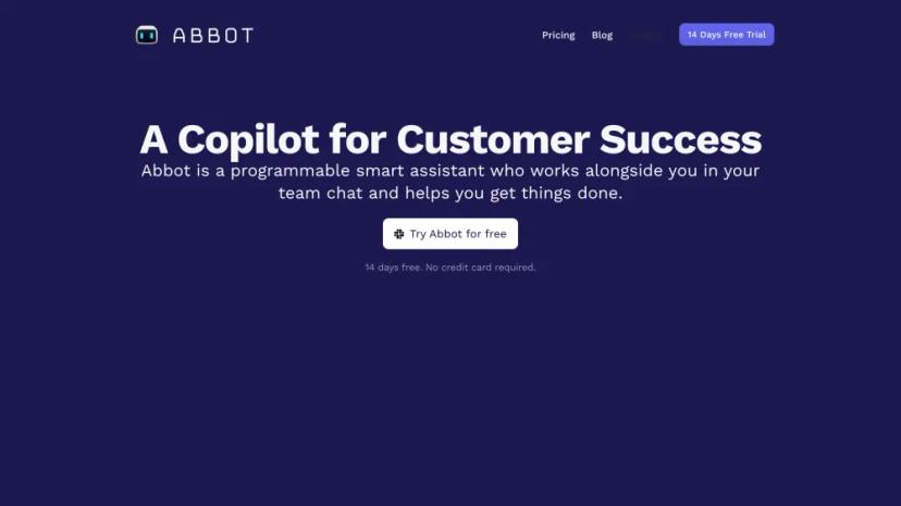 Screenshot of A COPILOT FOR CUSTOMER SUCCESS