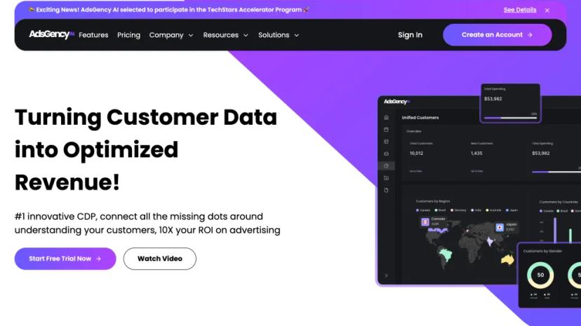 Screenshot of Turning Customer Data into Optimized Revenue