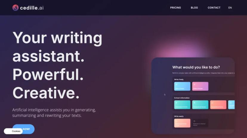 Screenshot of Your Writing Assistant