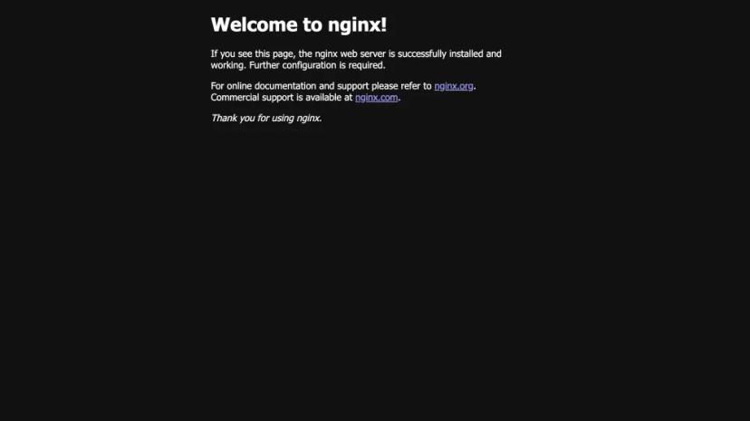 Screenshot of NGINX