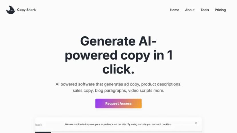 Screenshot of AI Copywriting Software