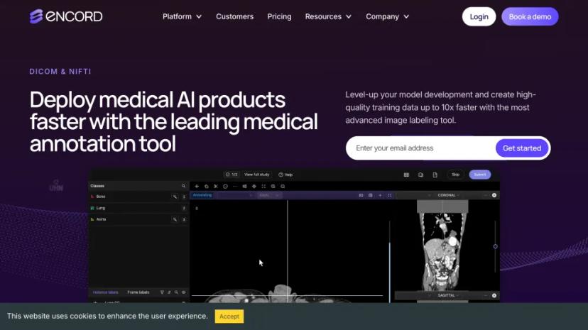 Screenshot of Medical Annotation Tool with Advanced AI Labeling Capabilities