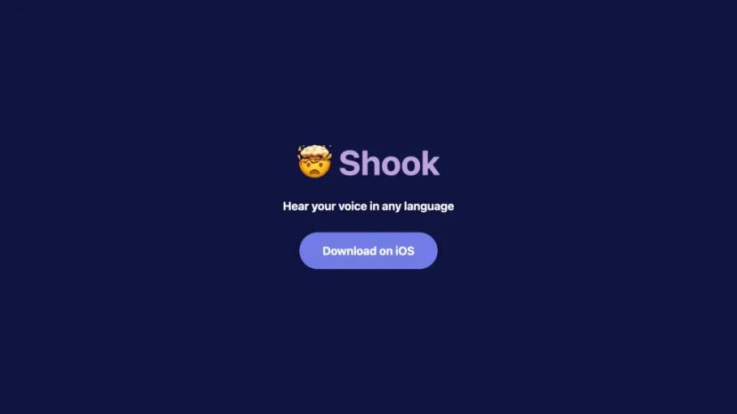 Screenshot of Voice Translation AI SaaS