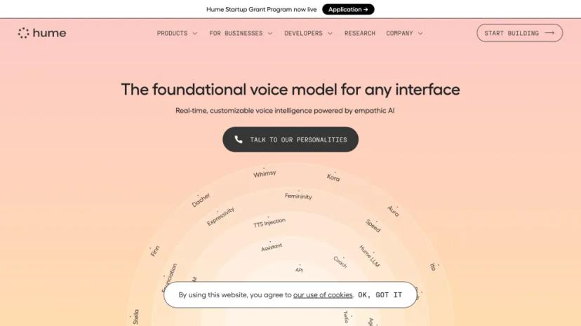 Screenshot of Empathic Voice Interface (EVI) Powered by Hume AI