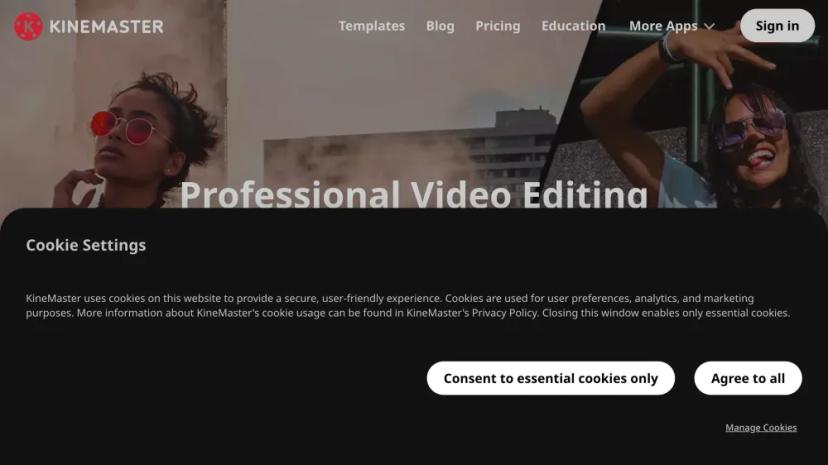 Screenshot of Professional Video Editing Made Fast & Easy