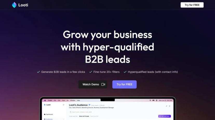 Screenshot of Hyper-Targeted B2B Lead Generation with AI Discovery