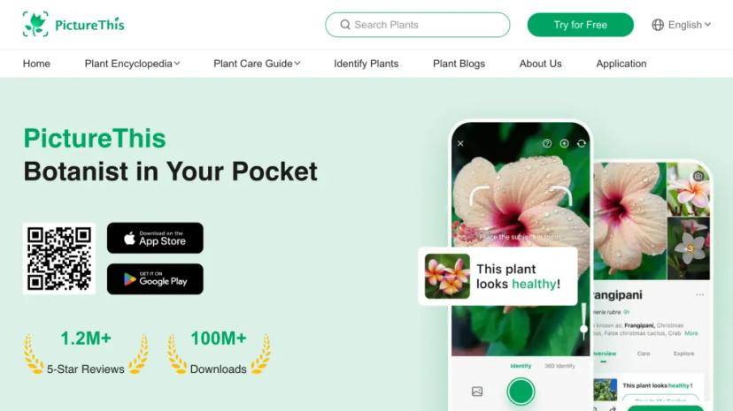 Screenshot of Plant Identification & Care Guide with AI