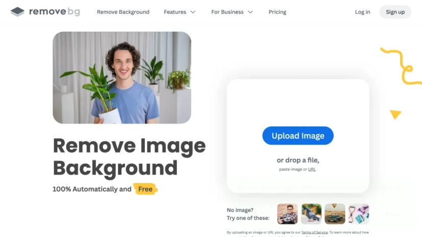 Screenshot of 100% Automatically Remove Image Background with AI