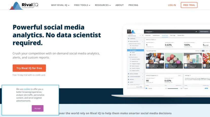 Screenshot of Powerful Social Media Analytics