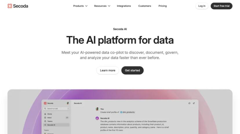 Screenshot of The AI Platform for Data