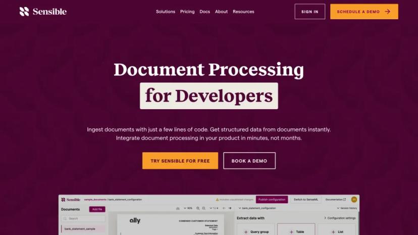 Screenshot of Modern Document Processing Platform for Developers