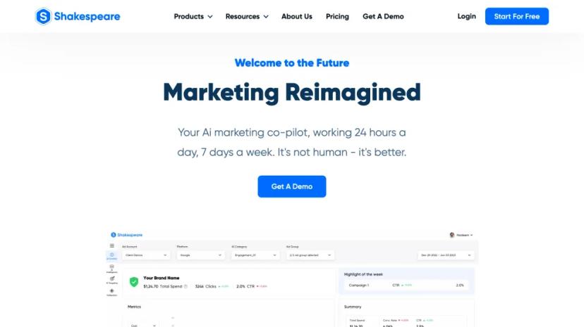 Screenshot of AI Marketing Co-pilot for Enhanced Audience Targeting and Creative Automation