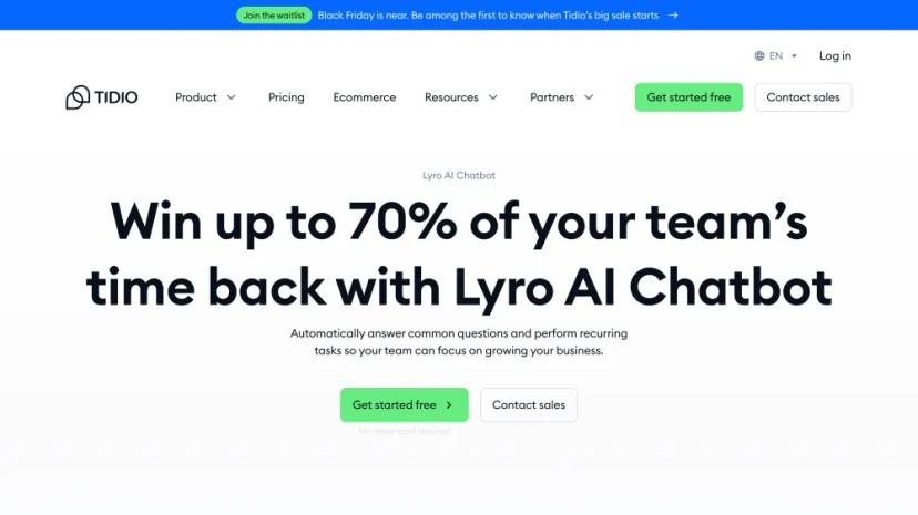 Screenshot of Lyro AI Chatbot