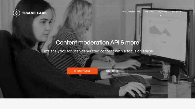 Screenshot of Content Moderation API & More