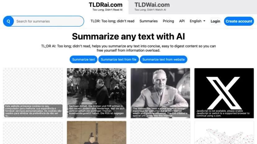 Screenshot of Summarize Any Text with TL;DR AI